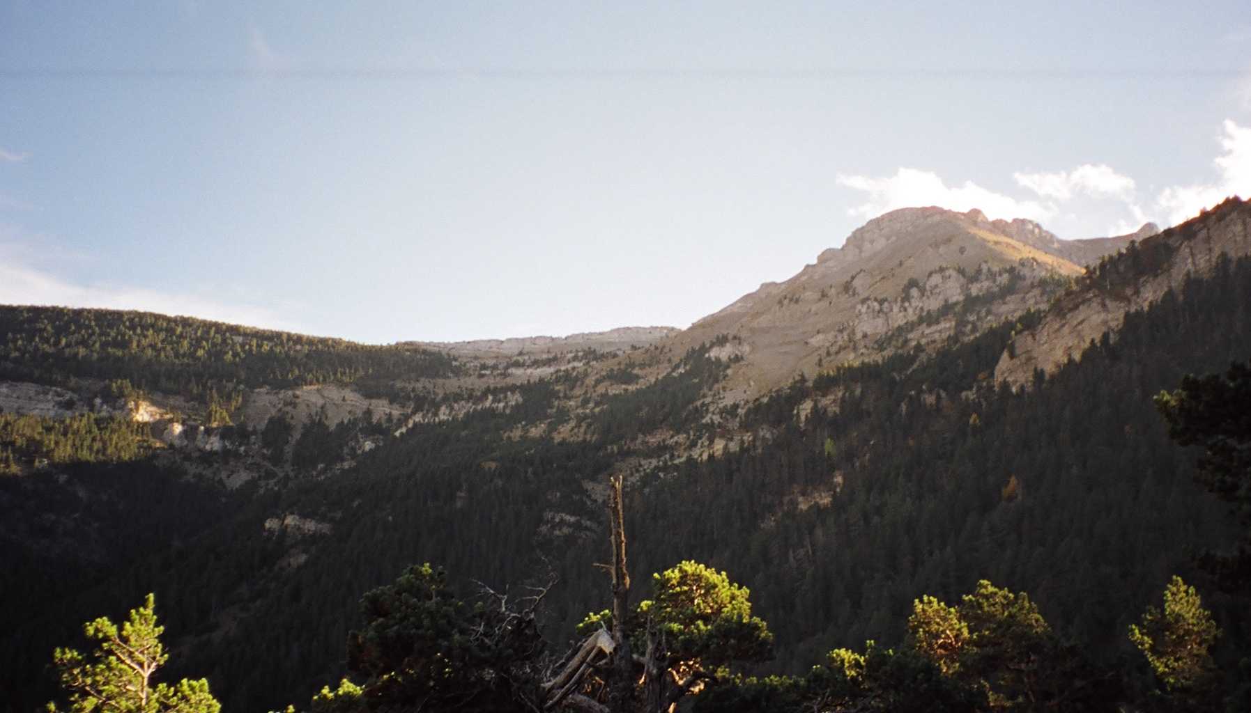 La Serra del Cadí i els boscos de la Vall de Pi