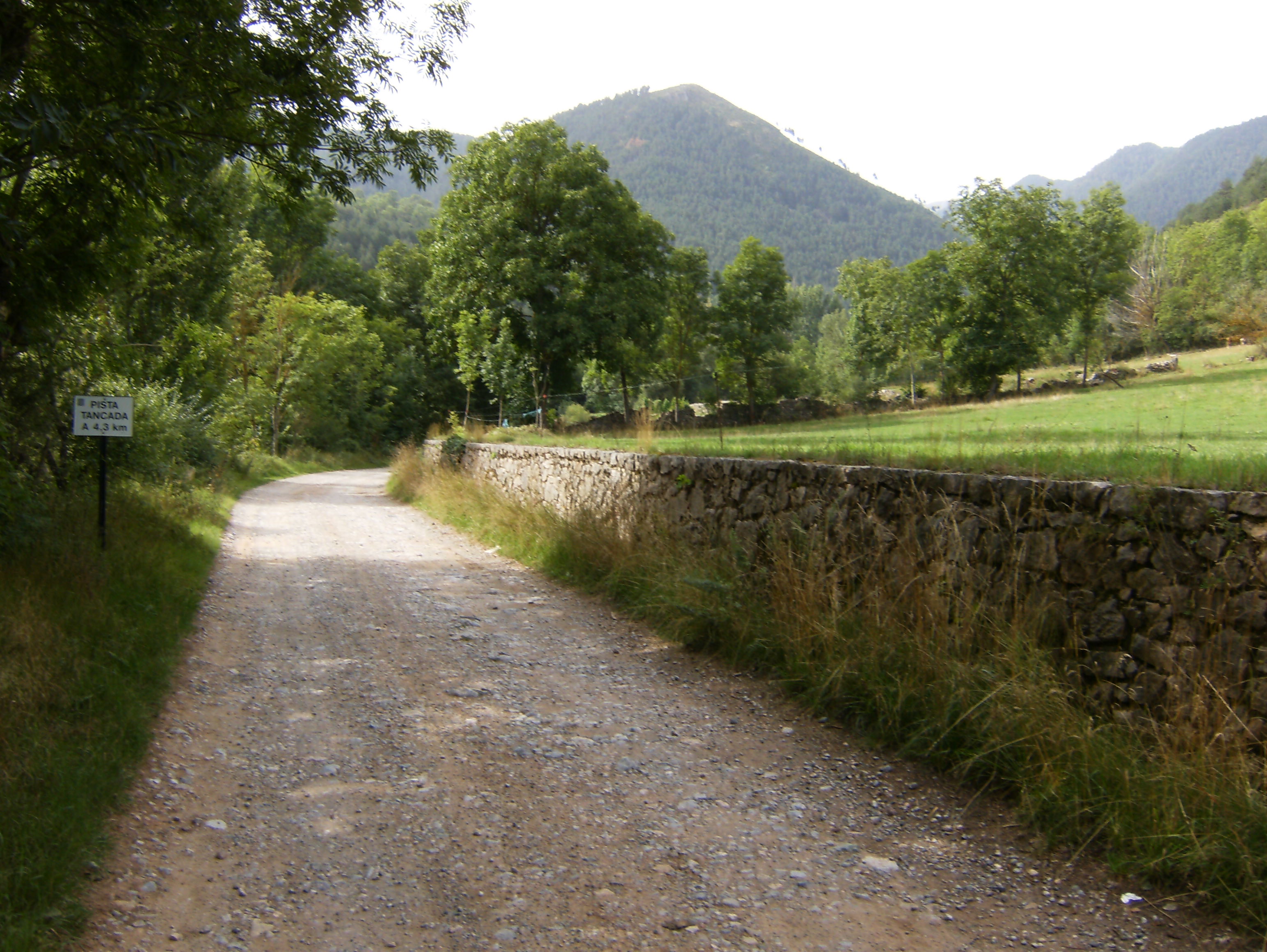 Camí tradicional de muntanya amb mur de pedra seca a la Vall de Pi