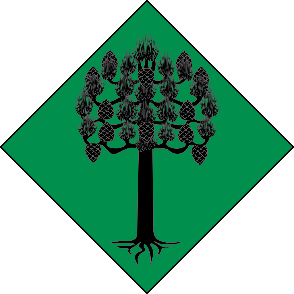 Escut oficial de l'EMD de Pi